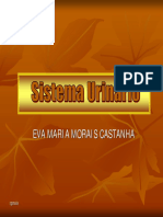 0000201_Sistema Urináriomodificado eva