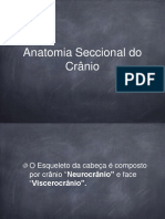 Anatomia CTS 2