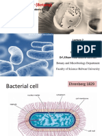 Lecture 3 Bacteria G Biology ES1