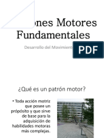 Patrones motores fundamentales