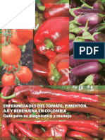 Enfermedades Del Tomate Pimentón Ají y Berenjena en Colombia