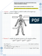 Ciencias naturales clase 4