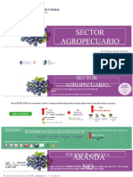 Exposicion Sector Agropecuario.