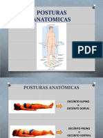 Terminologia Anatomica 2