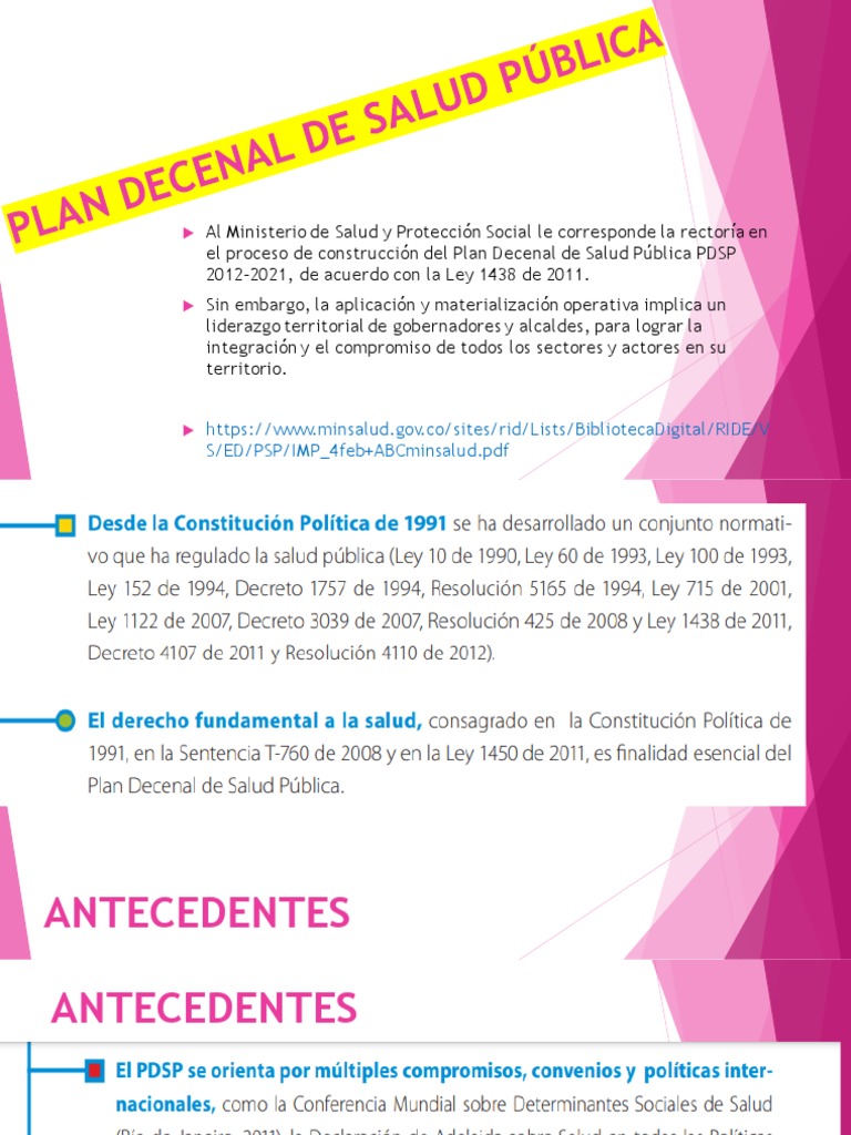 Plan Decenal De Salud Pública Pdf Estado Política Salud Pública