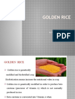 Golden Rice: A.Priya Dharshini 2019517010