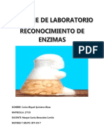 Enzimologia Lab 1