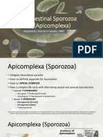 Protozoan - Intestinal Sporozoa