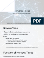 Nervous Tissue