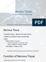 Nervous Tissue Guide