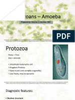 Protozoans - Amoebas