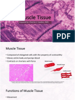 Muscle Tissue