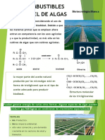 BIODIESEL Algas Combustible