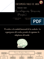 Procesos Psicologicos Basicos (Mapa)