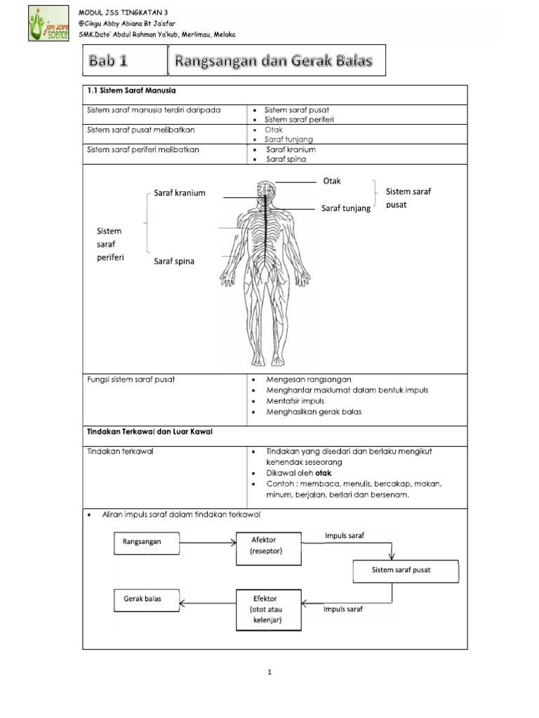 Nota Bab 1 Sains Pdf