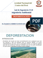 10.00 Deforestacion