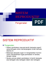 10.Sistem Reproduktif (3)