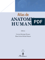 Atlas Anatomia