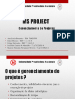 5. MS Project SLIDES - Gestao de Projetos (33 Pg)