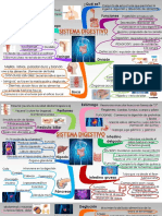 Mapa Mental Del Sistema Digestivo