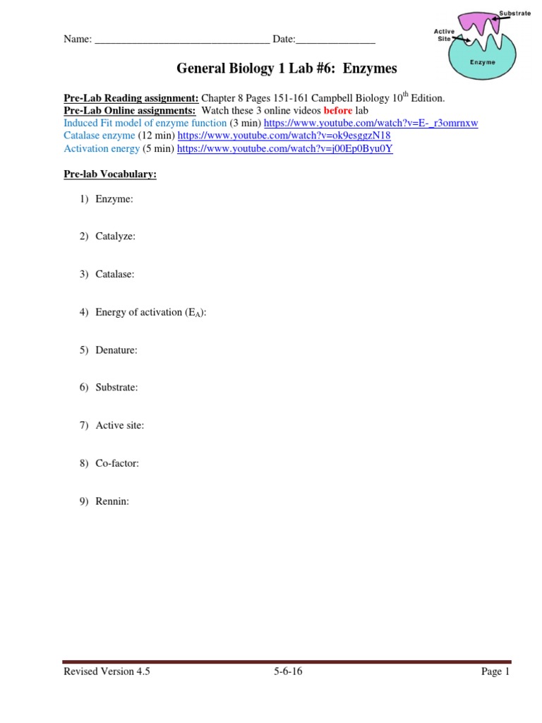 General Biology 1 Lab 6 Enzymes PDF Activation Energy Active Site