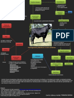 Tarea 2. Microorganismos Presentes en La Carne y Su Origen.