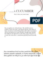 Contoh Descriptive Text Sea Cucumber