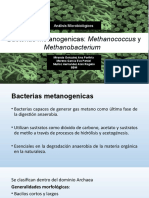 Bacterias Metanogenicas 8BM