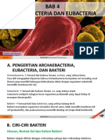 BAB 4 Archaebacteria Dan Eubacteria