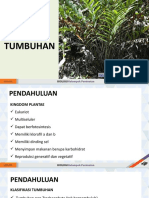 BAB 7 Dunia Tumbuhan (Plantae)