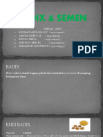 Radix & Semen