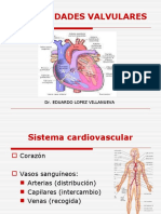 4 Valvulopatias