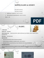 MIKROSKOPIS RADIX & SEMEN