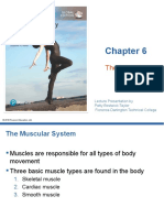 The Muscular System: Lecture Presentation by Patty Bostwick-Taylor Florence-Darlington Technical College