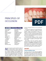 Principles of Occlusion: Key Terms