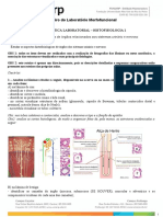Roteiro do Laboratório de Histofisiologia de Órgãos Renais e Nervosos