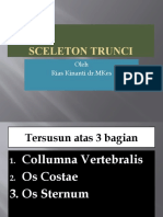 SCELETON TRUNCI