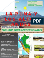 La puna y los altos andes 2