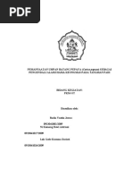 Download PKM-GT-PEMANFAATAN UMPAN BATANG PEPAYA SEBAGAI PENGENDALI ALAMI HAMA KEONG MAS PADA TANAMAN PADI by Radia Yustin Jawas SN52163349 doc pdf