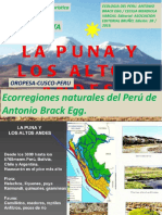 La puna y los altos andes 5