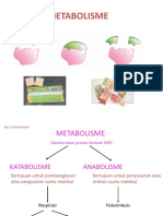 Bab 2 Metabolisme