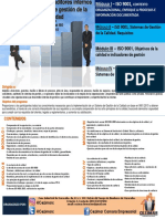 F. Tecnica Formacion de Auditres Internos Iso 9001