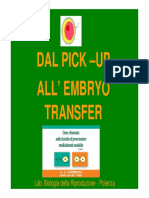 Dal Pick-Up all'Embryo Transfer