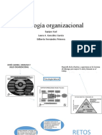 Psicología Organizacional