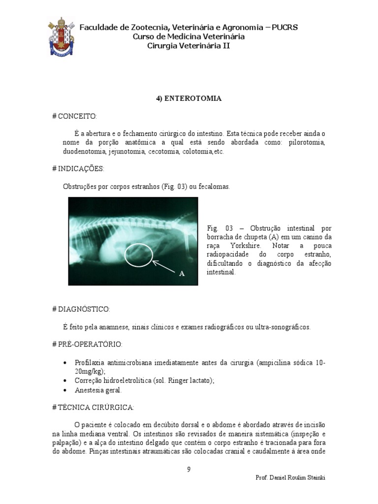Técnicas de Enterotomia e Enterectomia | PDF | Medicina Veterinária ...
