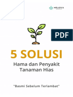 5 Cara Cepat Basmi Hama dan Penyakit Tanaman Hias