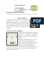 SEMILLAS HÍBRIDAS: PRODUCCIÓN Y VENTAJAS