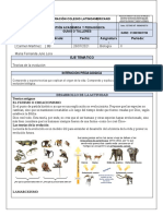 638 - 20210722 - Guía Pedagógica - T de La Evolucion