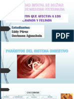 Tarea N°11 de Parasitologia