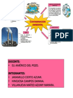 Contaminacion Ambiental